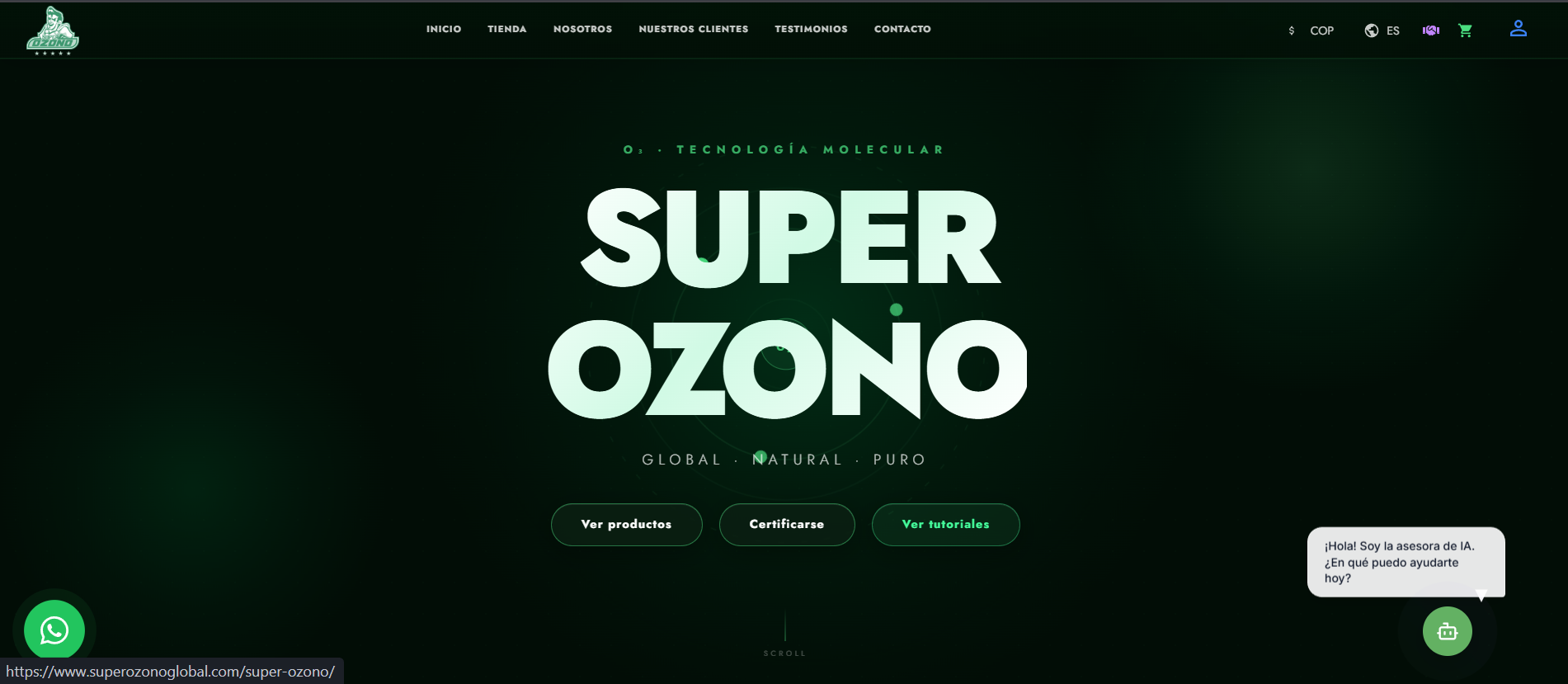 Portal Super Ozono Global 1